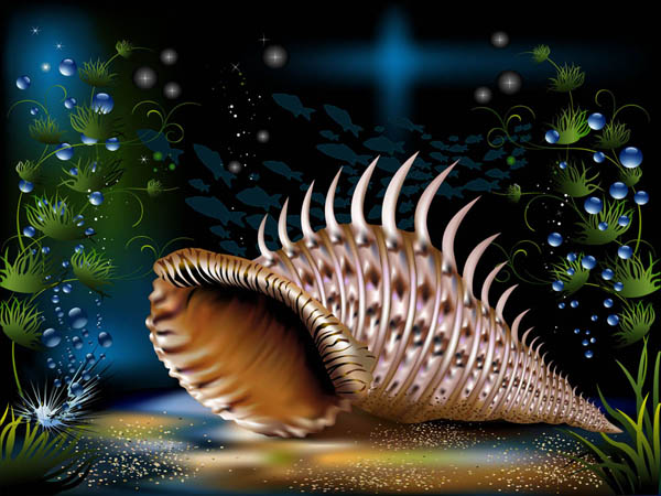 奇妙的海底水母和海螺矢量素材