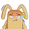 QQ鴵