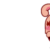 øЦQQ֮Ʈ