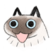 QQ֮