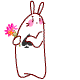 ˿QQ֮