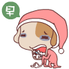 QQ֮