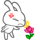 ſ۹QQ
