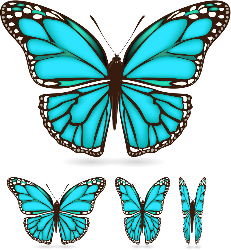 eps格式,含jpg预览图,关键字:蝴蝶,昆虫,手绘,彩绘,飞翔,动态,矢量图.