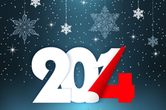 2014ѩ꺣ʸز