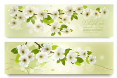 ɫӻbannerʸز