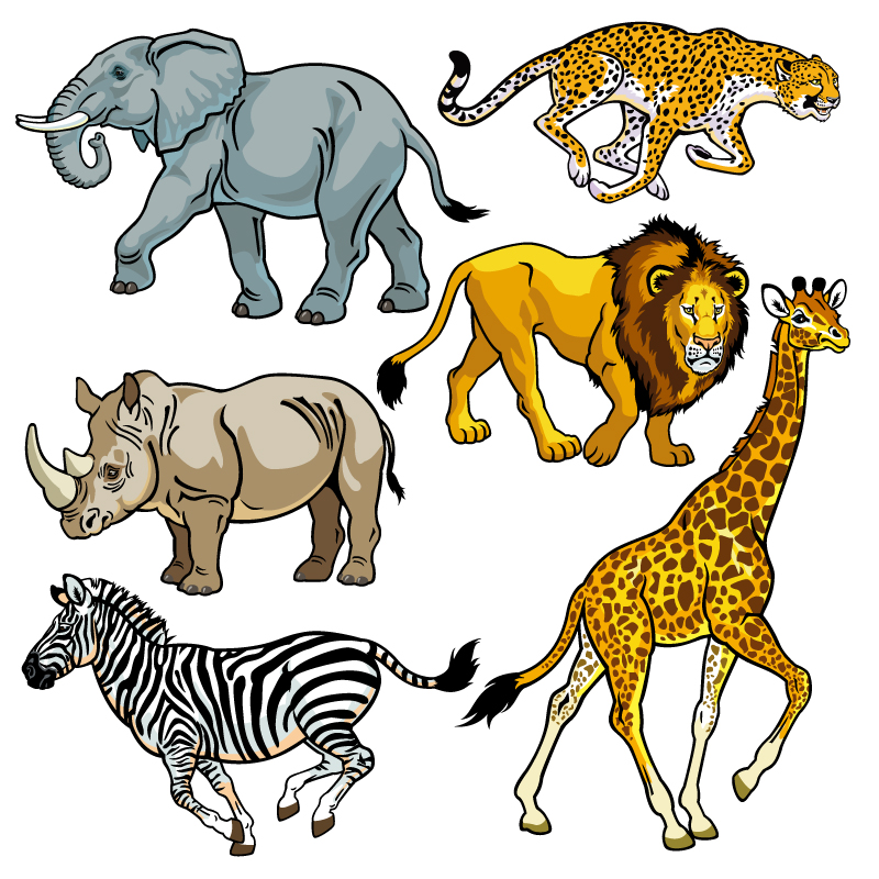 6个非洲野生动物设计矢量素材