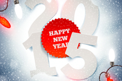 2015ֽʸز