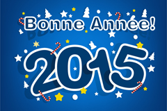 2015걳ʸز