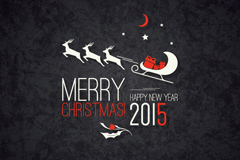 2015ʥѩʸز