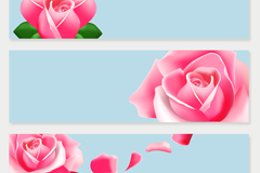 3ɫõbannerʸز