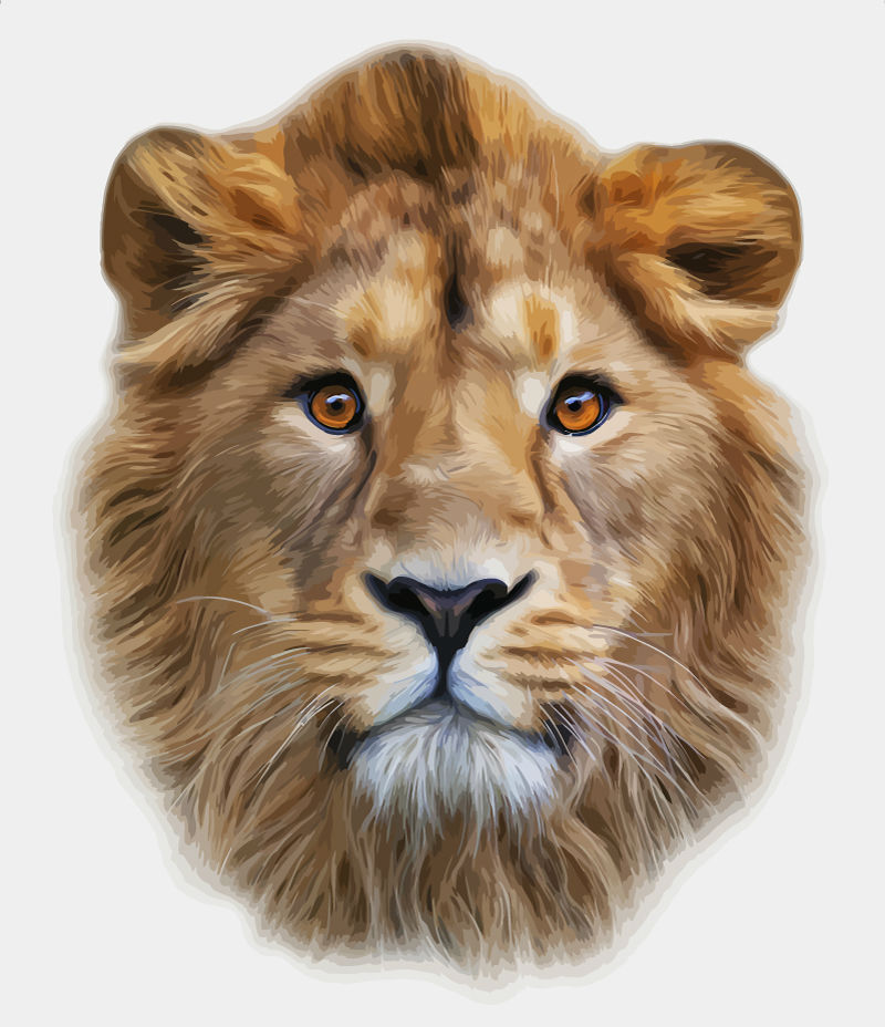 逼真狮子头设计矢量素材