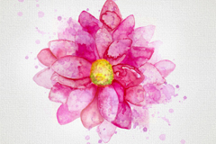 ˮʴջʸز