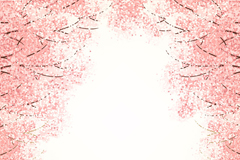 ʻʢӣʸز