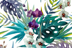 ˮʻʸز