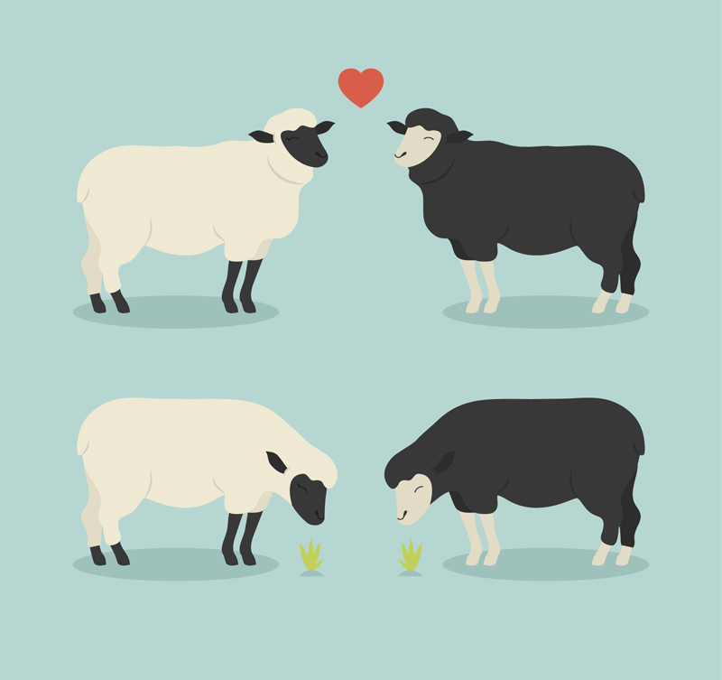 ai格式,含jpg预览图,关键字:爱心,黑脸,绵羊,情侣,家畜,羊,草,矢量图.