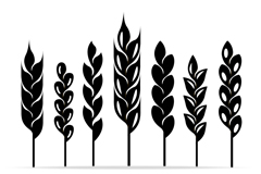 7Ӱʸز