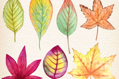 7ˮʻҶʸز