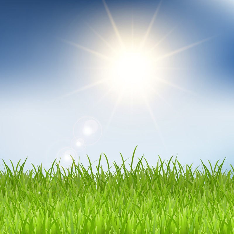 ai格式,含jpg预览图,关键字:太阳,风景,草地,阳光,矢量图.