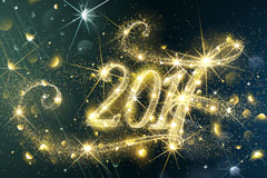 2017ؿʸز