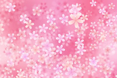 ɫӣ޷챳ʸز