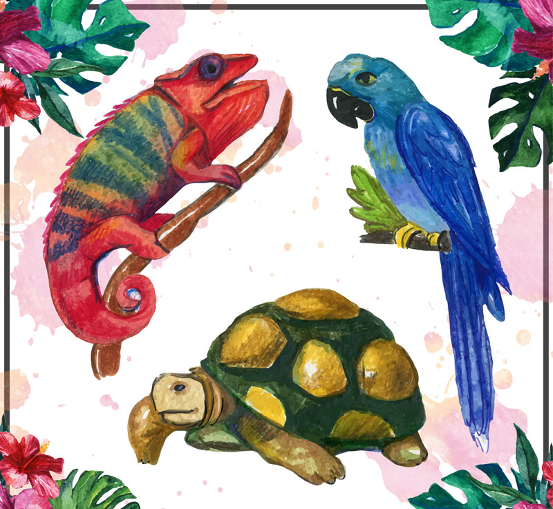 3款水彩绘热带动物设计矢量素材