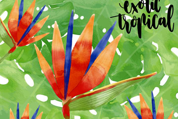 ˮʻȴʸز