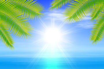 ļɳ̲羰ʸͼ