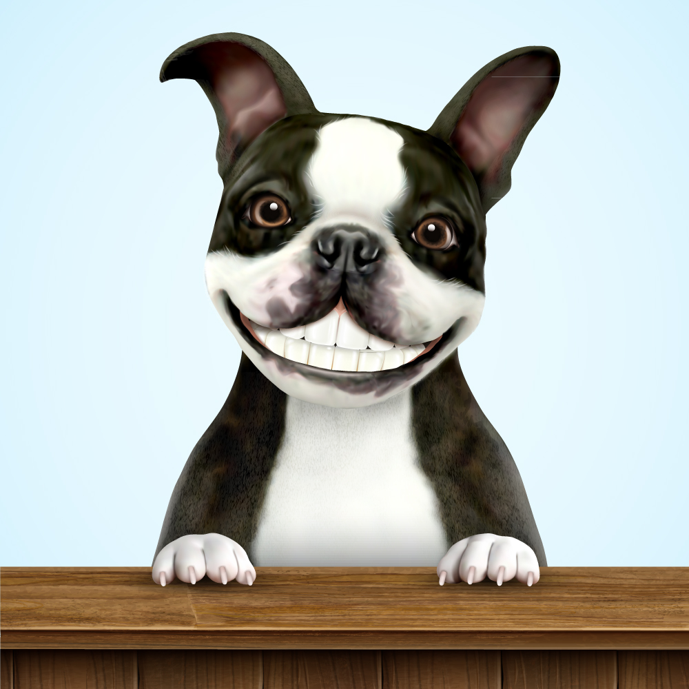 eps格式,含jpg预览图,关键字:卡通,露齿,笑,法国斗牛犬,狗,宠物,木桌