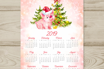 ʻ2019ʸز