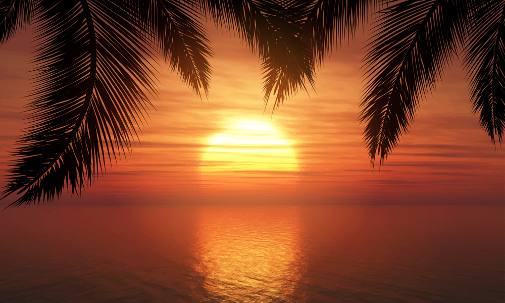 eps格式,含jpg预览图,关键字:创意,大海,夕阳,风景,棕榈树叶,倒影