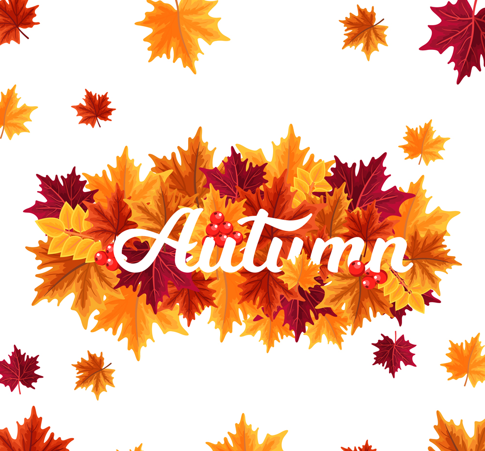 彩色秋季树叶艺术字矢量素材
