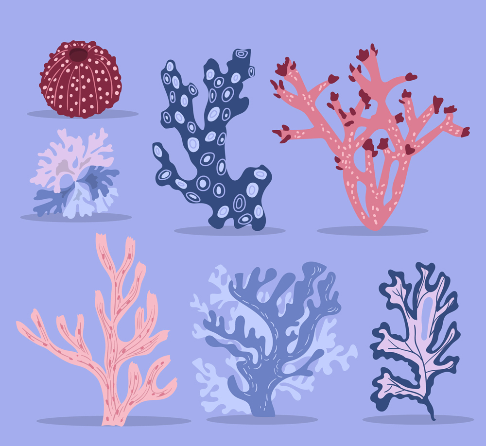 7款创意珊瑚设计矢量素材
