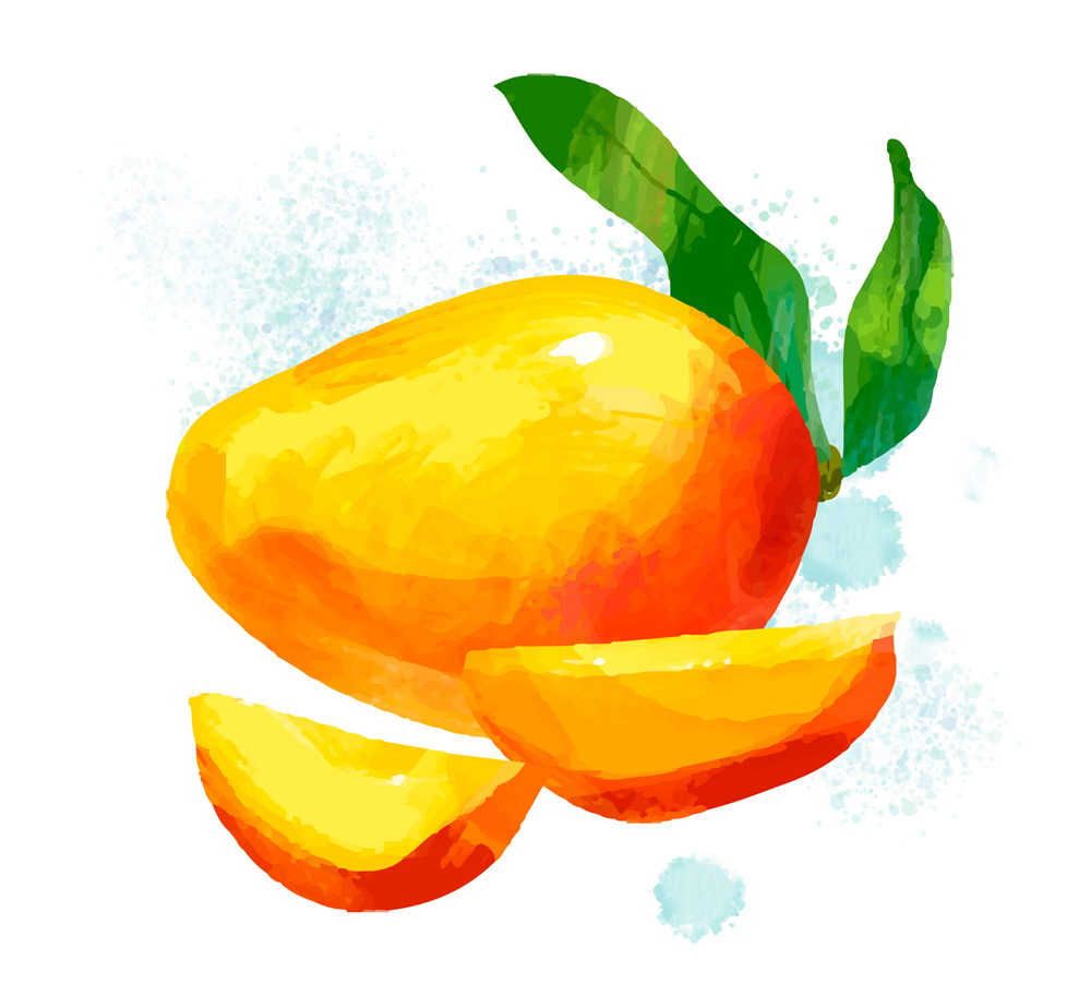 水彩绘美味芒果矢量素材