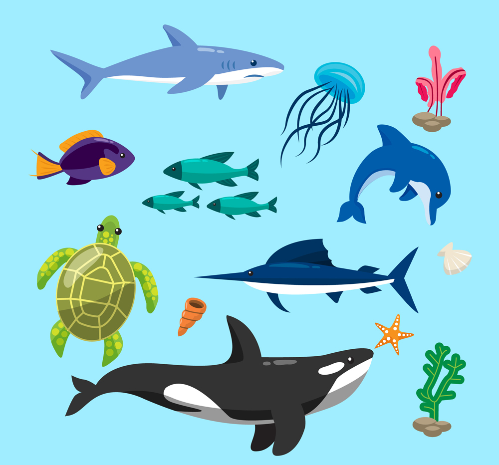 15款彩色海洋生物设计矢量图