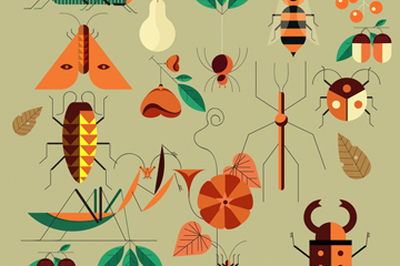 18款创意昆虫设计矢量素材
