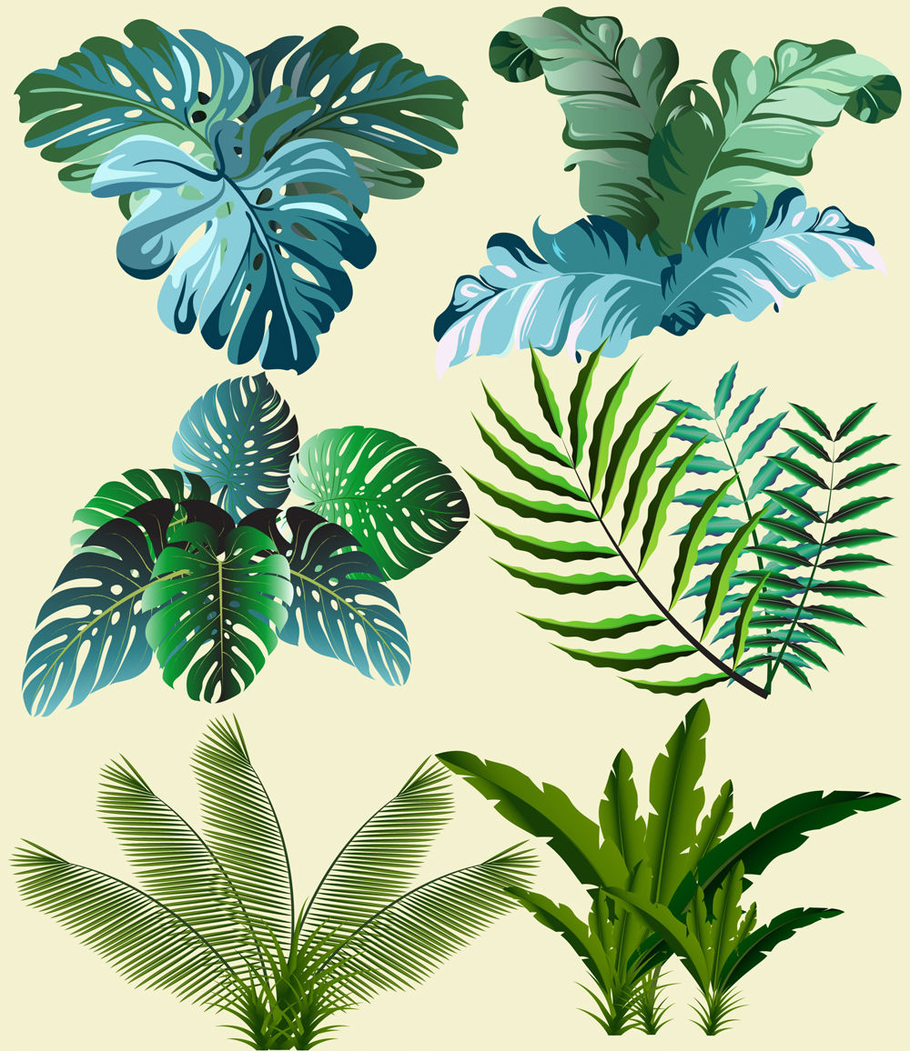 6款绿色热带植物矢量素材