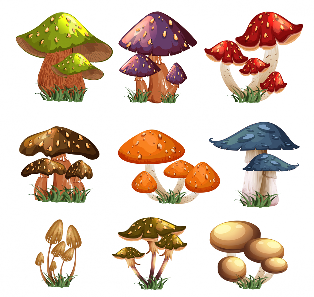 ai格式,含jpg预览图,关键字:卡通,彩色,蘑菇,草地,矢量图.