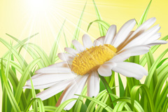 ųʸز