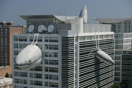 Discovery Channel(̽Ƶ)