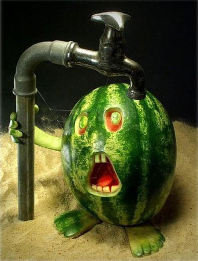  ûˮˣ