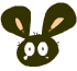 ÷˷QQȫ