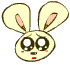 ÷˷QQȫ