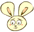 ÷˷QQȫ