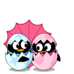 QQQQ