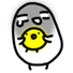 С˶QQ