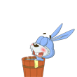 QQ