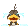 СѾQQ