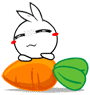 QQܲ