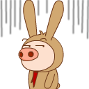 öQQ麹